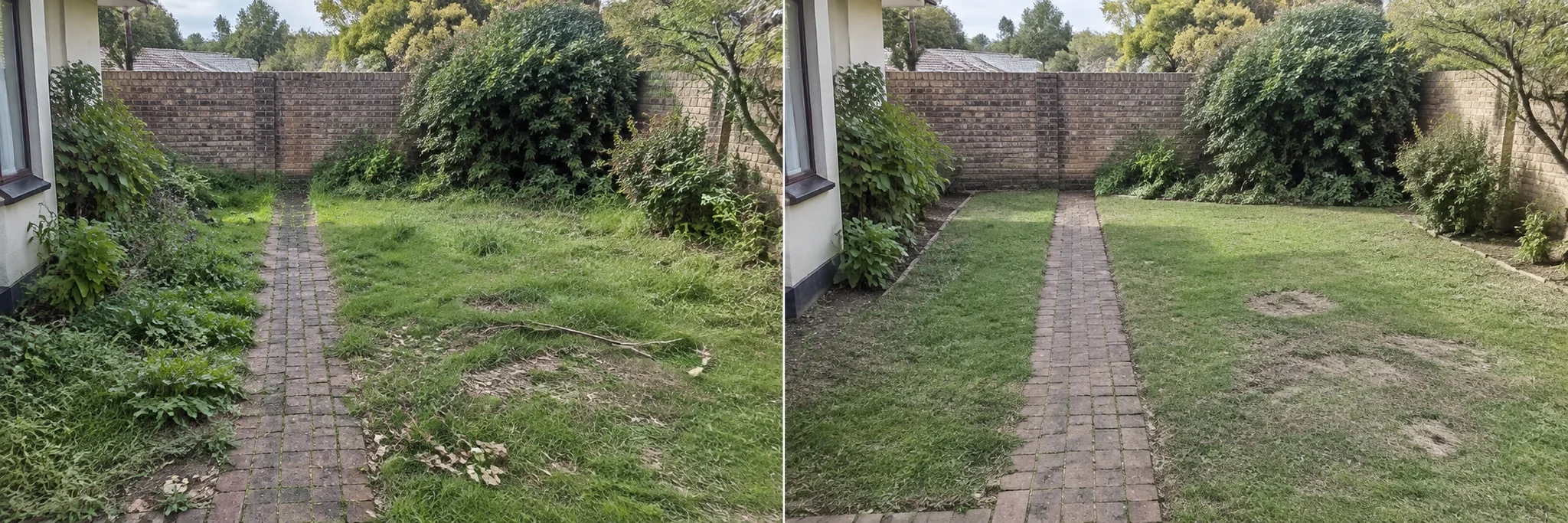 Overgrown garden edge beside a paved path