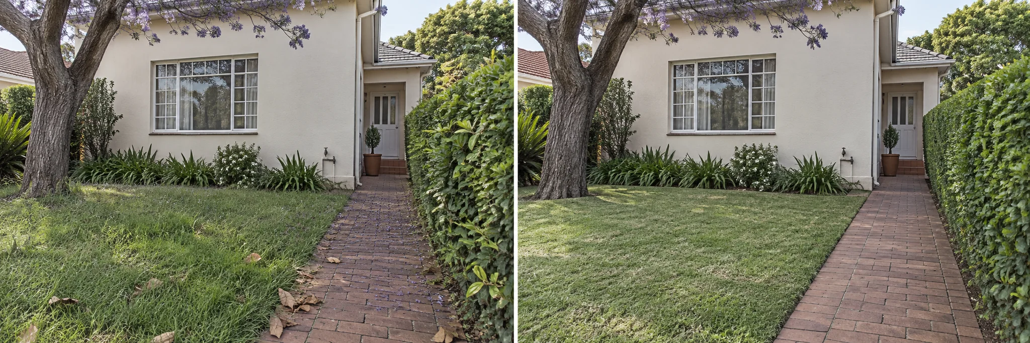 Long lawn and untidy hedge around a garden path